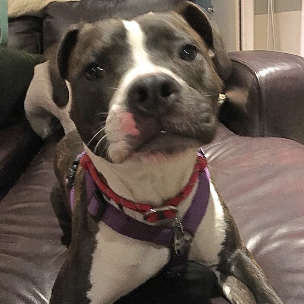 Meet your Posher, Maria